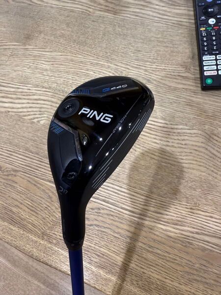 PING ユーティリティ G440 2U 17 ベンタス9X メーカーカスタム