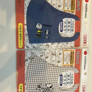 【西川】PEANUTS 洗えるマスク 2枚セット 子供用(中・高学年)