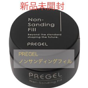 プリジェル PREGEL ノンサンディングフィル 4g