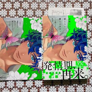 神様なんか信じない僕らのエデン 3巻 特典付き