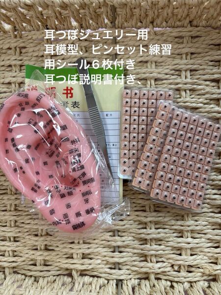 耳つぼジュエリー模型 13cm ピンセット、練習用シール、ツボ説明書付き