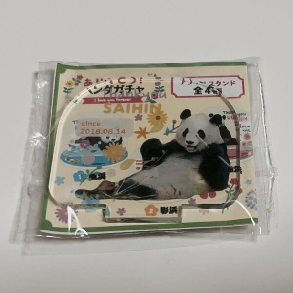 (入手困難非売品)アドベンチャーワールド限定 アクリルスタンド 彩浜 さいひん