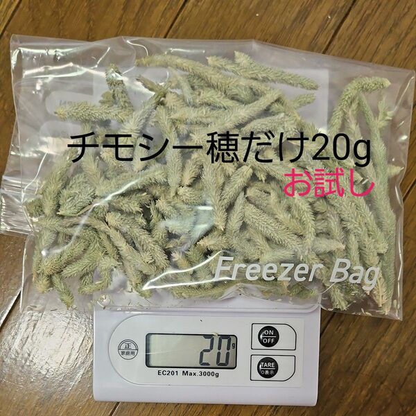 お試しチモシー 穂だけ 20g 小動物用おやつ うさぎ モルモットに