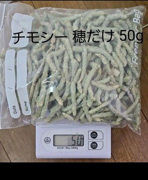チモシー 穂だけ 50g 小動物用おやつ うさぎ モルモットに
