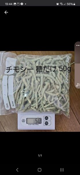チモシー 穂だけ 50g 小動物用おやつ うさぎ モルモットに