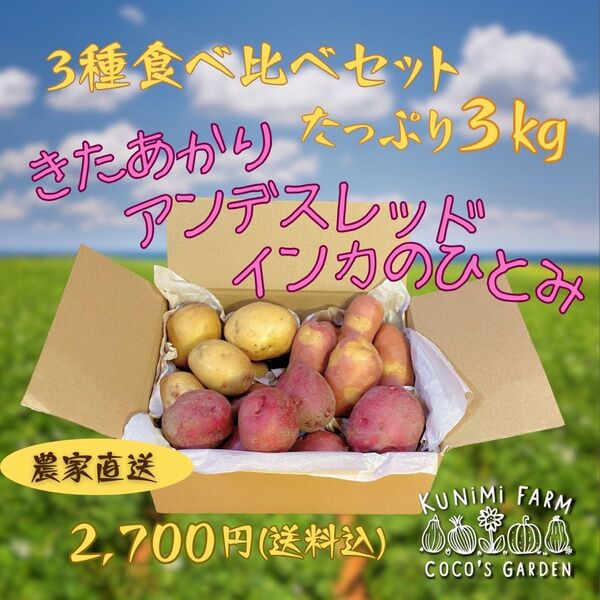 きたあかり、アンデスレッド、インカのひとみ 農家直送 食べ比べセット じゃがいも 3kg