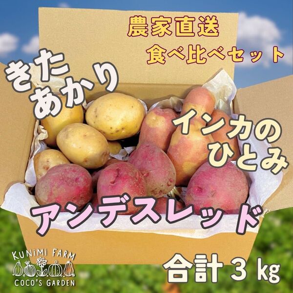 きたあかり、アンデスレッド、インカのめざめ 食べ比べセット じゃがいも 3kg