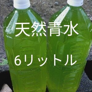 グリーンウォーター6リットル