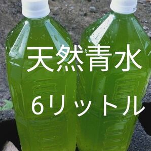 グリーンウォーター6リットル