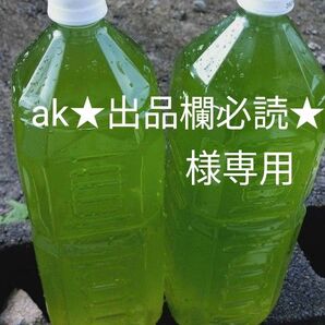 ak★出品欄必読★様専用