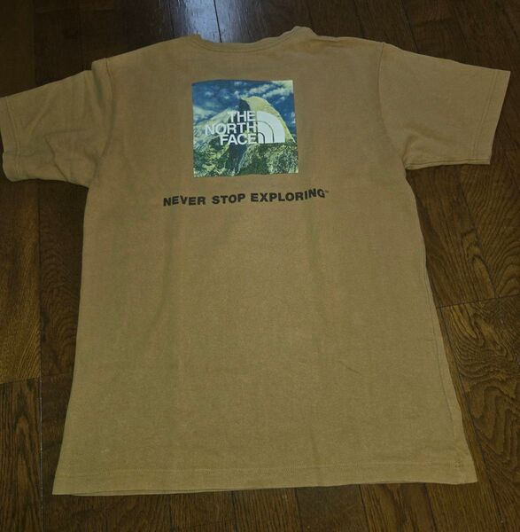 THE NORTH FACE Tシャツ ブラウン NT31843