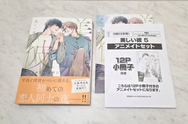 【BL新刊】美しい彼 5 アニメイト限定セット 12P小冊子付き 北野仁 凪良ゆう 【美品】