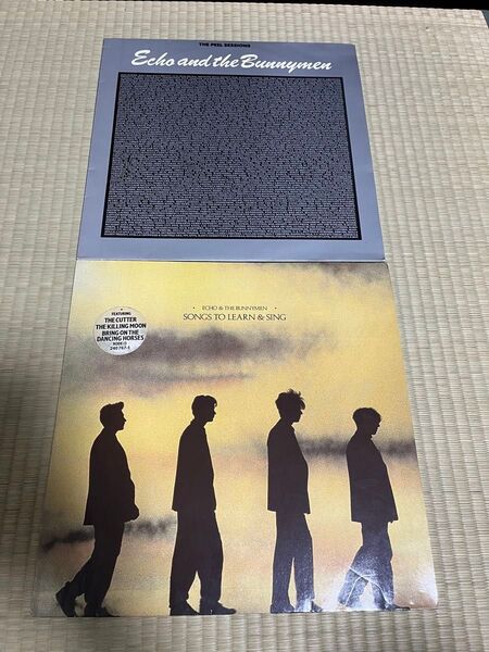 ECHO &the BUNNYMEN LPレコード2枚セット UK盤 ネオアコ