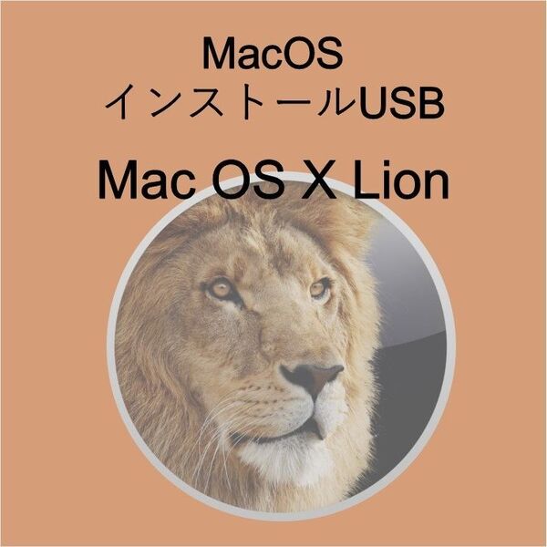 (v10.07) Mac OS X Lion インストール用USB