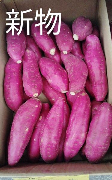 宮崎さつまいもホクホクタイプ!約5kg30個前後