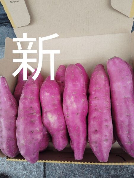 宮崎のさつまいも宮崎紅ホクホクタイプ約1、6kg約10個前後