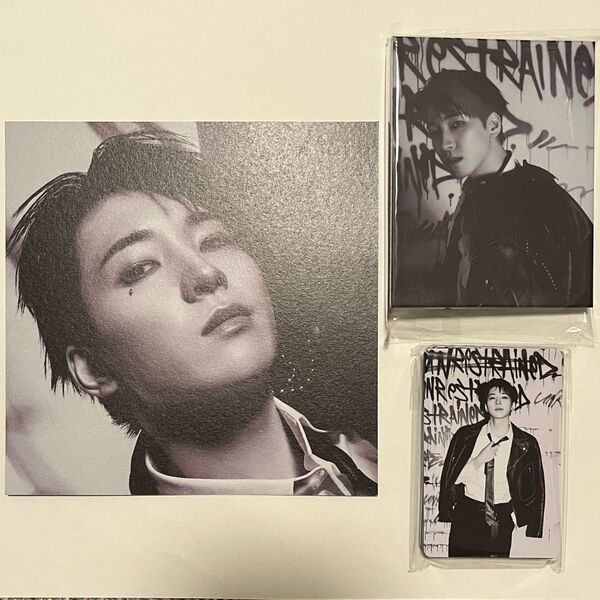 SEVENTEEN HAPPY BURSTDAY DAREDEVIL ver. バインダー ウォヌ