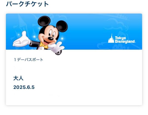 ディズニーランド 6/5 オンラインショッピング枠
