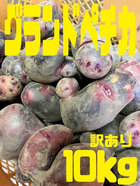 新じゃがいもグランドペチカ10kg