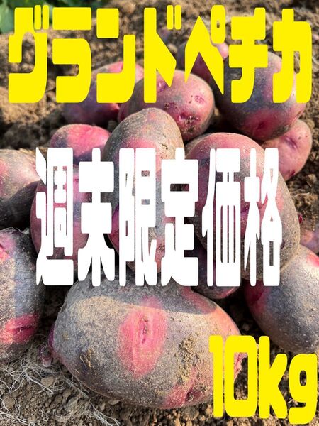 新じゃがいもグランドペチカ10kg