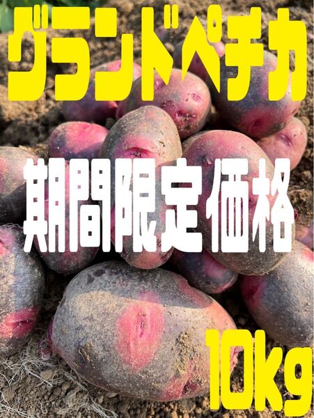 新じゃがいもグランドペチカ10kg