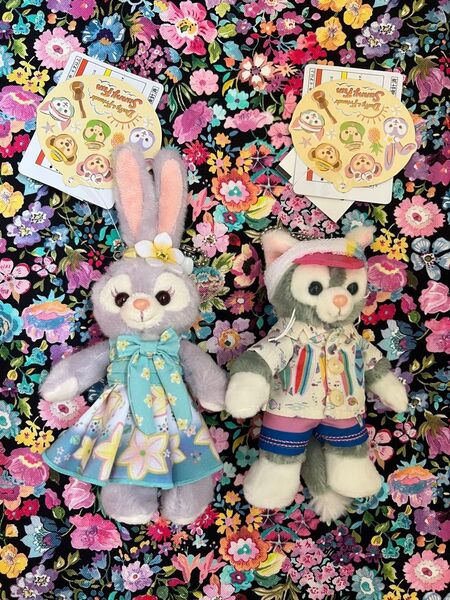 TDS限定★ステラルー★ジェラトーニ★サニーファン★ぬいぐるみバッジ 2個セット