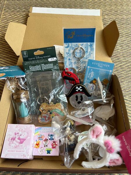TDR限定&ディズニーストア グッズ まとめて