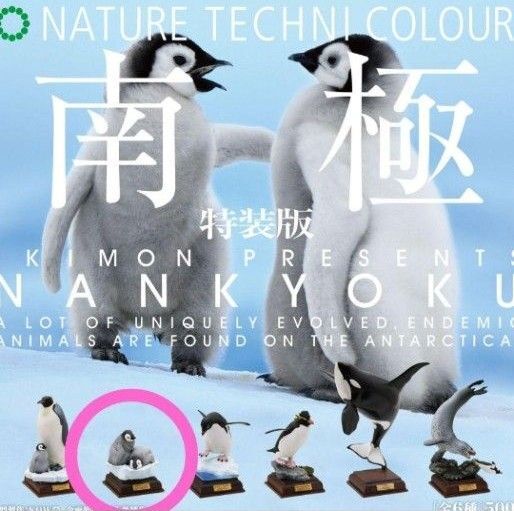 ネイチャーテクニカラー 南極 特装版 コウテイペンギン ヒナ ガチャ
