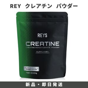 REYS レイズ クレアチン パウダー 500g