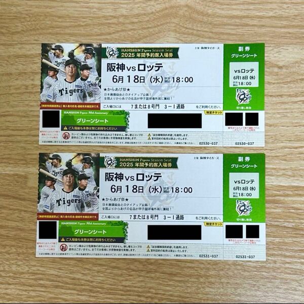阪神vsロッテ 6月18日 グリーンシート 2連番 チケット