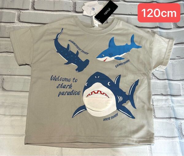 仕掛けTシャツ 半袖 しかけ 女の子 男の子 120cm めくれるTシャツ 半袖Tシャツ Tシャツ キッズ 子ども サメ