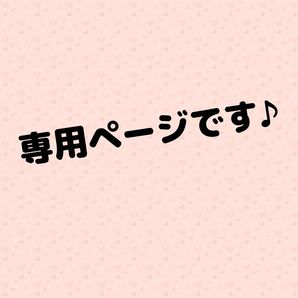 【専用ページです】(2299)(2302)可愛いシマエナガのキーホルダーです♪ハンドメイド レジン 鳥 お花