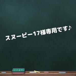 【スヌーピー17様専用です】(2205)(2011)可愛いシマエナガのキーホルダーです♪ハンドメイド レジン 鳥 雪の結晶
