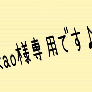 【kao様専用です】(2277)(2272)(2274)フレームも可愛い♪シマエナガちゃんのキーホルダーです♪ハンドメイド
