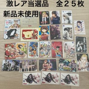 未使用カード 全25枚セット