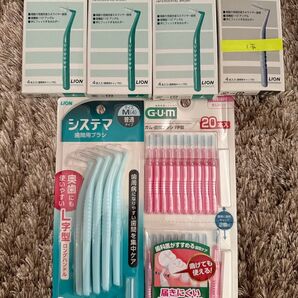 LION DENT EX & GUM システマ