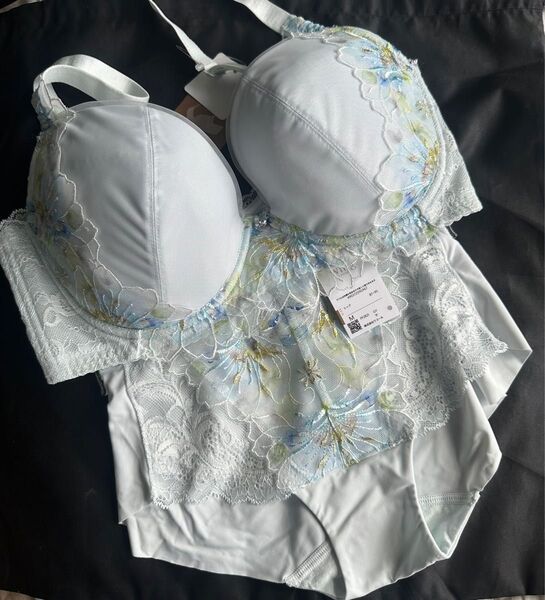 ワコール ウイング レシアージュ ブラジャー F75 ショーツ M PF2821 PB2821