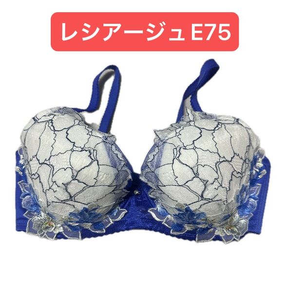 ワコール ウイング レシアージュ ブラジャー E75 ブルー