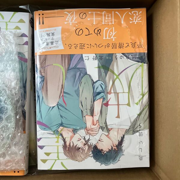 美しい彼 北野仁 凪良ゆう