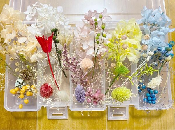 02花材詰め合わせ プリザーブド ドライ ハーバリウムレジン