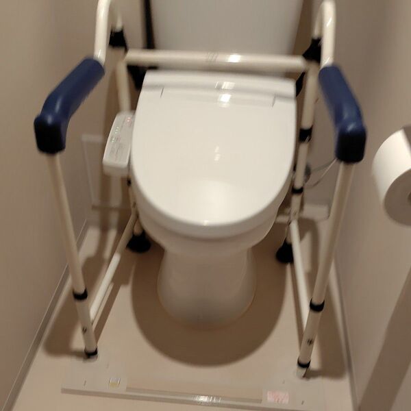 イーストアイ トイレの手すり MW50