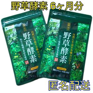 野草酵素 シードコムス サプリメント 6ヶ月分