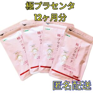 【極プラセンタ シードコムス サプリメント】 12ヶ月分 豚プラセンタエキス 馬プラセンタエキス