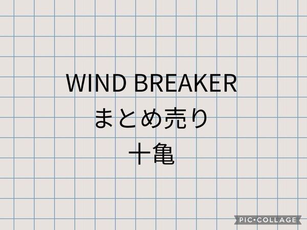 ウィンドブレイカー 十亀 まとめ売り