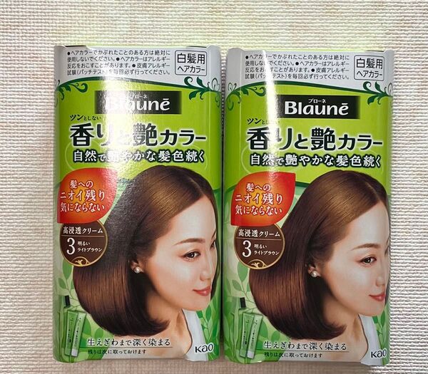白髪染め ダリヤ サロンドプロ 無香料ヘアカラー 早染めクリーム 白髪用 3 明るいライトブラウン 2箱