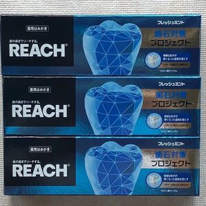 銀座ステファニー リーチ 歯石対策 プロジェクト 歯みがき 120g ×3