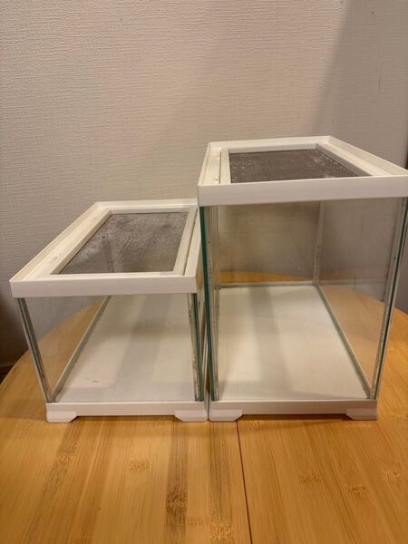 エキゾテラ GEX レプテリアホワイト300 Low & High セット ガラス水槽 水槽 ガラス 爬虫類 GEX