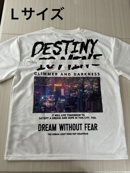 未使用 メンズ Tシャツ ドライ 半袖 ジップ付き Lサイズ