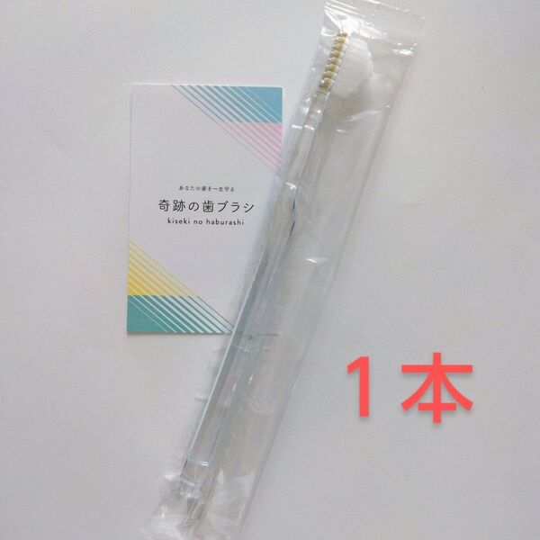 【正規品】奇跡の歯ブラシ 大人用 1本〈カラーの選択不可〉バージョンアップ品!