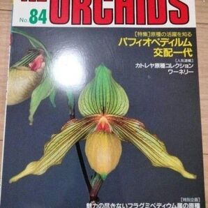 洋らんの情報誌 ニューオーキッド No84New Orchidsカトレヤ 洋蘭 洋蘭 洋ラン